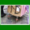 09_09_12_6888.jpg