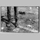oberb_99_04_15a.html