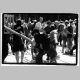 oberb_xx_38.html